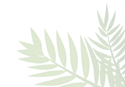 Palm Tree Leaves