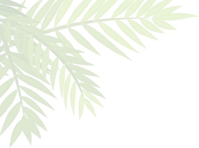Palm Tree Leaves